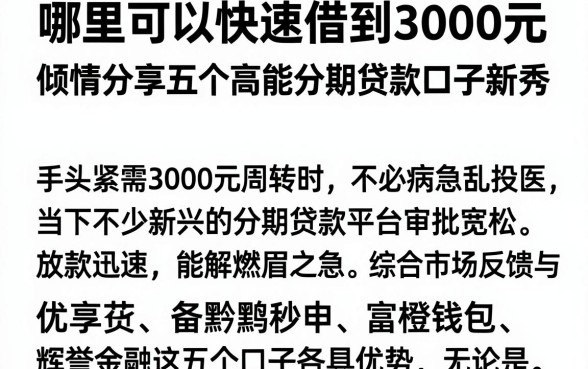 哪里可以快速借到3000元,倾情分享五个高能分期贷款口子新秀