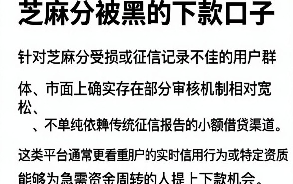 芝麻分被黑的下款口子,细致阐述5个小额贷款不查征信的软件