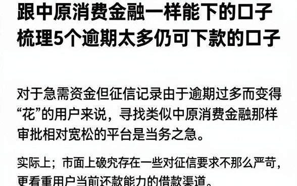 跟中原消费金融一样能下的口子,梳理5个逾期太多仍可下款的口子