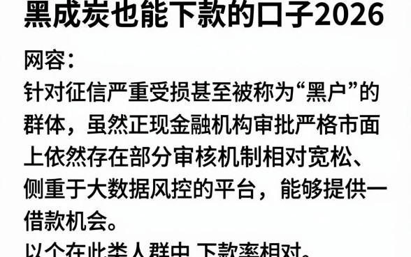 黑成炭也能下款的口子2026，汇总五个黑户成功获取大额贷款的软件
