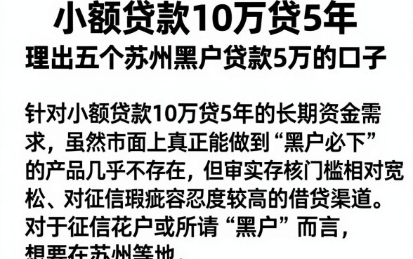 小额贷款10万贷5年,理出五个苏州黑户贷款5万的口子