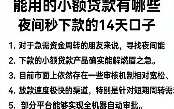 能用的小额贷款有哪些,罗列5个夜间秒下款的14天口子