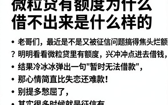 微粒贷有额度为什么借不出来是什么样的,详细阐述五个无视黑花半夜下款的网贷app