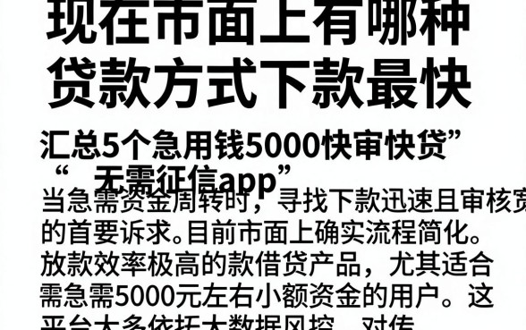 现在市面上有哪种贷款方式下款最快，汇总5个急用钱5000快审快贷无需征信app