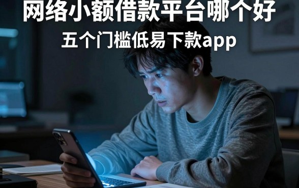 网络小额借款平台哪个好，整理五个门槛低易下款app