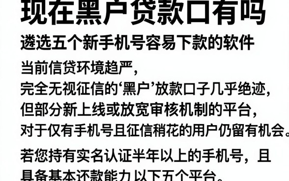 现在黑户贷款口有吗,遴选五个新手机号容易下款的软件