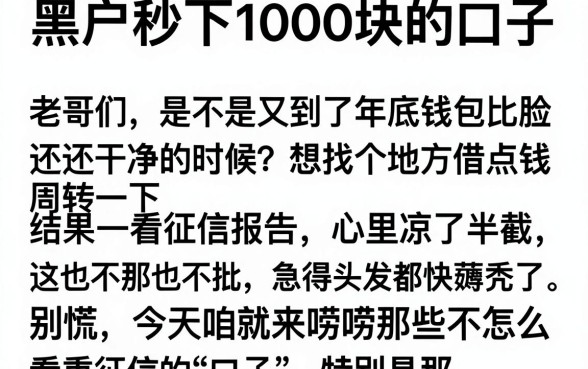 黑户秒下1000块的口子，详尽说明5个秒批无面签贷款平台