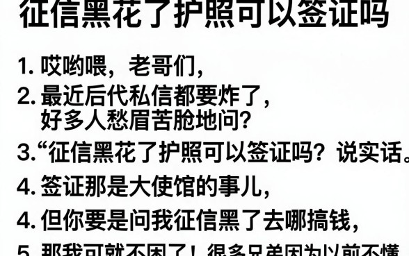征信黑花了护照可以签证吗，条列5个网贷口子风控不严的平台