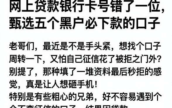 网上贷款银行卡号错了一位,甄选五个黑户必下款的口子