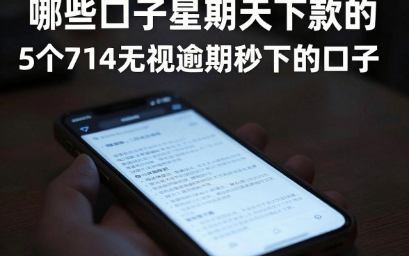 哪些口子星期天下款的,理出5个714无视逾期秒下的口子