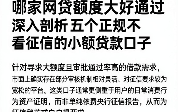 哪家网贷额度大好通过，深入剖析五个正规不看征信的小额贷款口子