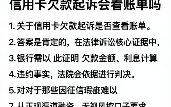 信用卡欠款起诉会看账单吗，枚举5个网黑烂户无视风控口子