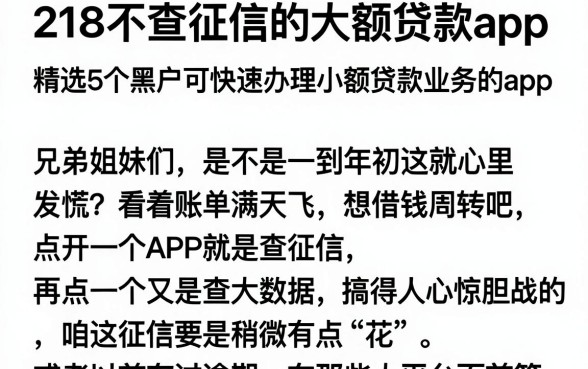 218不查征信的大额贷款app，精选5个黑户可快速办理小额贷款业务的app