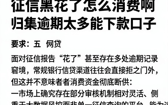 征信黑花了怎么消费啊,归集五个逾期太多能下款口子