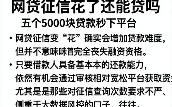 网贷征信花了还能贷吗，详尽说明五个5000块贷款秒下平台