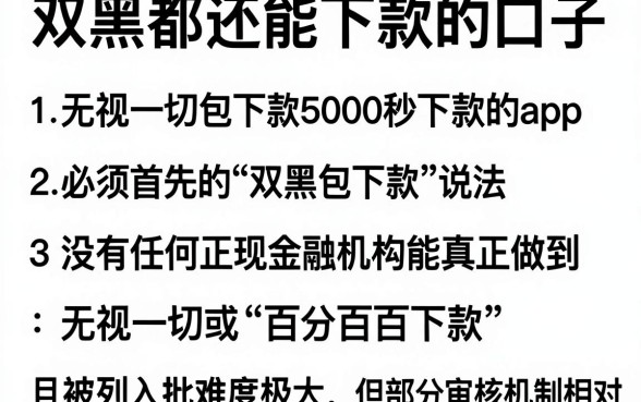 双黑都还能下款的口子,详尽说明五个无视一切包下款5000秒下款的app