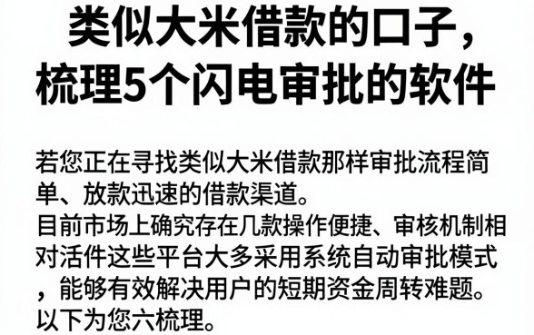 类似大米借款的口子,梳理5个闪电审批的软件