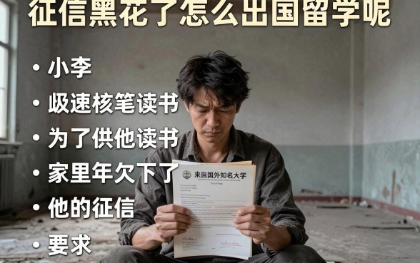 征信黑花了怎么出国留学呢,胪列五个极速审核的网贷平台
