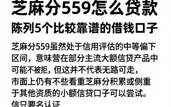 芝麻分559怎么贷款,陈列5个比较靠谱的借钱口子