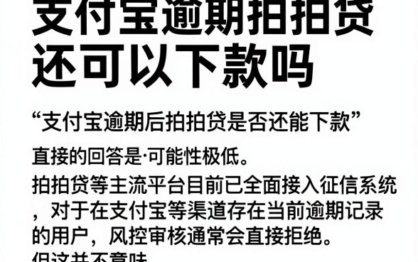 支付宝逾期拍拍贷还可以下款吗,概括五个网贷黑户必过口子
