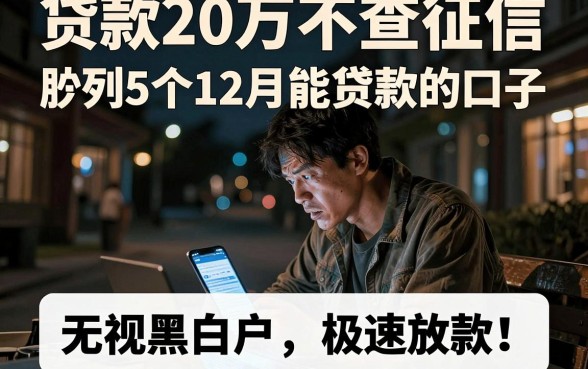 贷款20万不查征信,胪列5个12月能贷款的口子