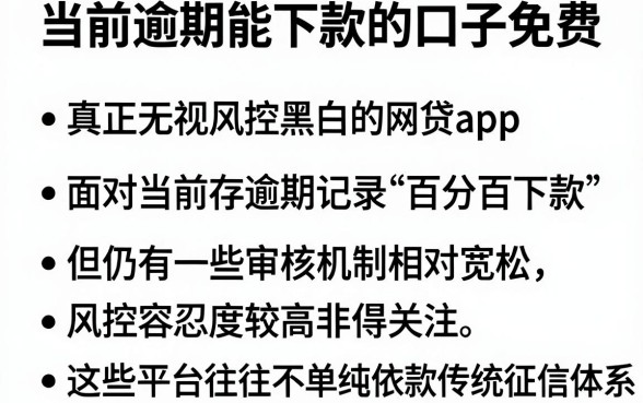 当前逾期能下款的口子免费，条列五个真正无视风控黑白的网贷app