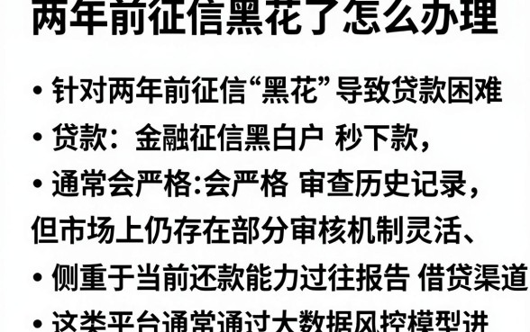 两年前征信黑花了怎么办理,遴选5个无视征信黑白户秒下款的贷款