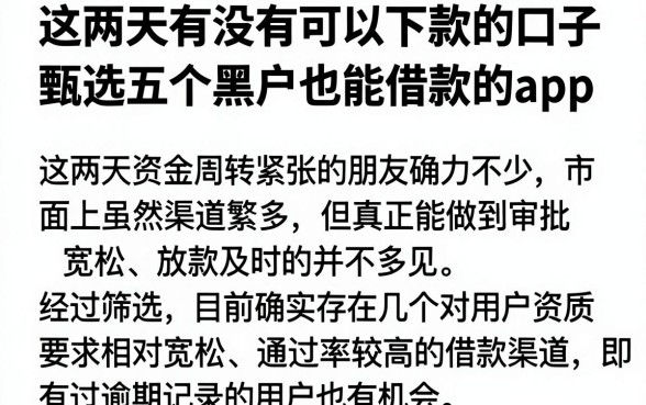 这两天有没有可以下款的口子,甄选五个黑户也能借款的app
