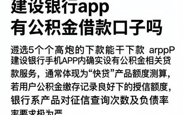建设银行app有公积金借款口子吗,遴选5个高炮能下款的口子