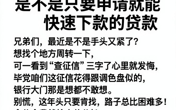 是不是只要申请就能快速下款的贷款,详尽说明五个不上征信的贷款平台