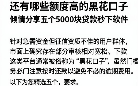 还有哪些额度高的黑花口子,倾情分享五个5000块贷款秒下软件