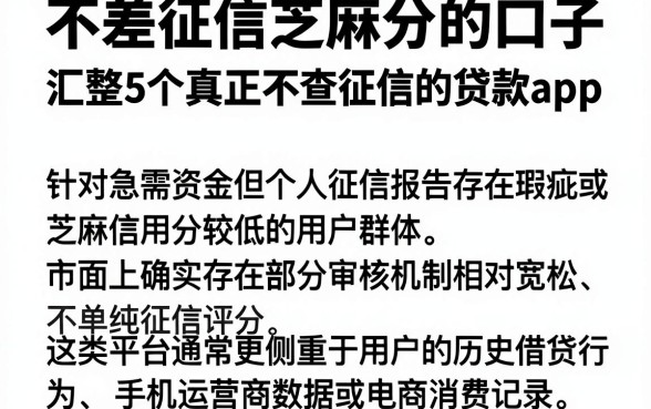 不差征信芝麻分的口子,汇整5个真正不查征信的贷款app