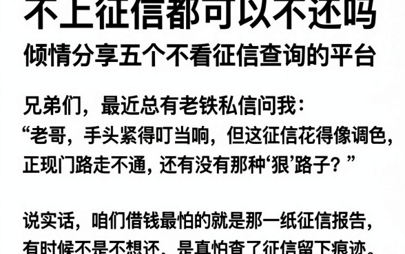 不上征信都可以不还吗,倾情分享五个不看征信查询的平台