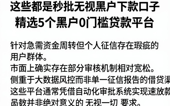 这些都是秒批无视黑户下款口子,精选5个黑户0门槛贷款平台