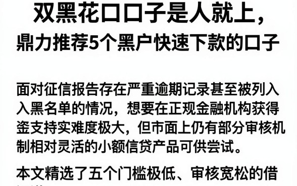 双黑花口子是人就上,鼎力推荐5个黑户快速下款的口子