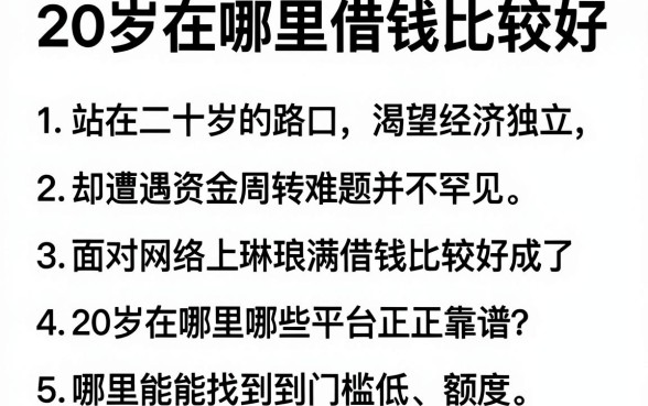 20岁在哪里借钱比较好，规整5个分期有额度的网贷软件