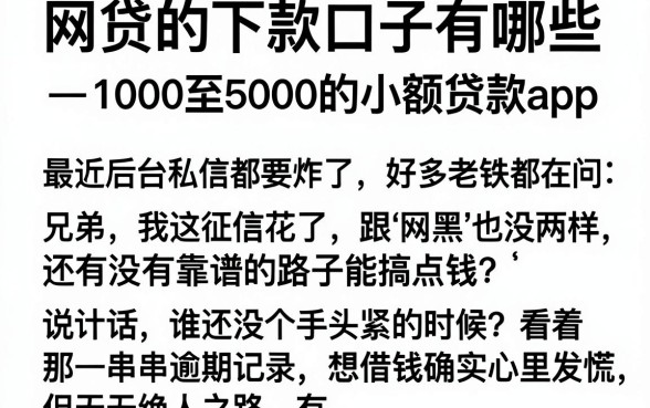 网贷的下款口子有哪些,理出五个1000至5000的小额贷款app