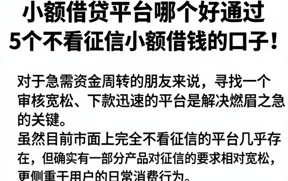 小额借贷平台哪个好通过，枚举5个不看征信小额借钱的口子