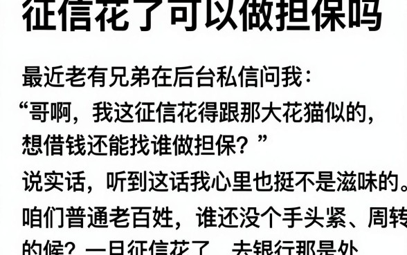 征信花了可以做担保吗,归纳五个无视黑白好下款的软件