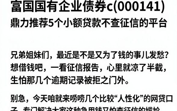 富国国有企业债券c(000141),鼎力推荐5个小额贷款不查征信的平台