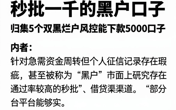秒批一千的黑户口子,归集5个双黑烂户风控能下款5000口子
