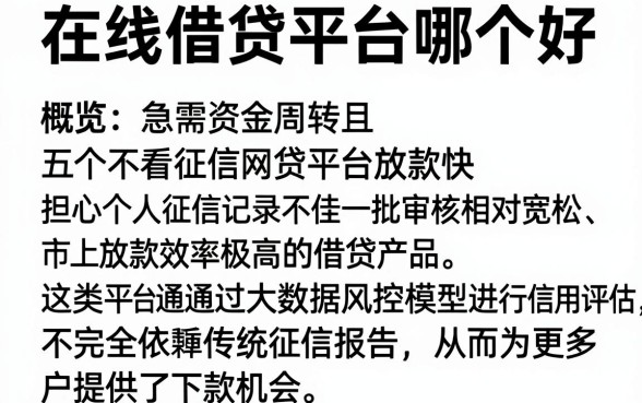 在线借贷平台哪个好,概览五个不看征信网贷平台放款快的软件