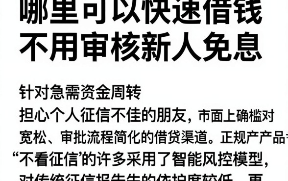 哪里可以快速借钱不用审核新人免息，汇总五个黑户可以借款的网贷app