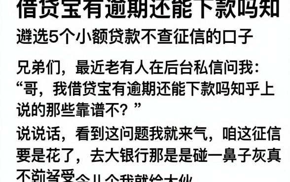 借贷宝有逾期还能下款吗知乎,遴选5个小额贷款不查征信的口子
