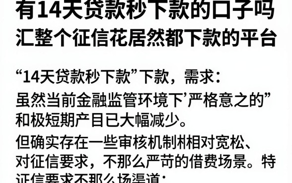 有14天贷款秒下款的口子吗，汇整五个征信花居然都下款的平台