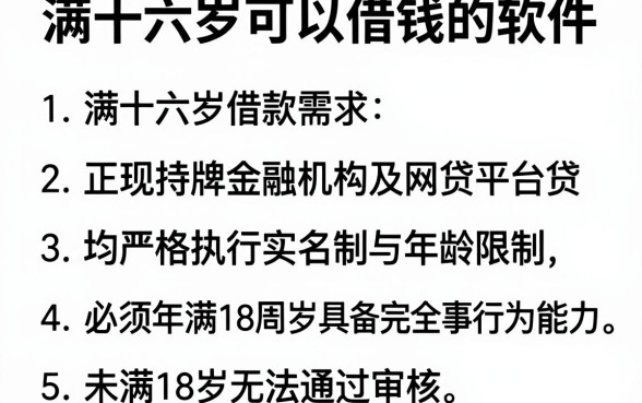 满十六岁可以借钱的软件,理出五个不看负债的网贷平台