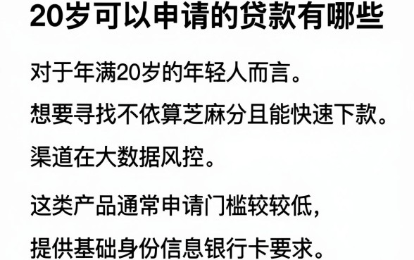 20岁可以申请的贷款有哪些,陈列5个金融创新秒下不要芝麻分的平台