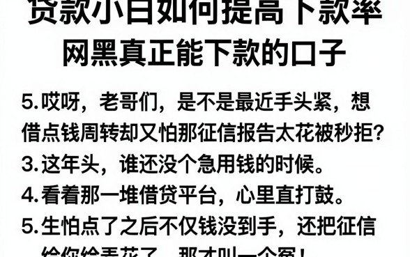 贷款小白如何提高下款率，罗列5个网黑真正能下款的口子