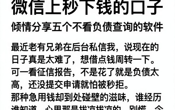 微信上秒下钱的口子，倾情分享五个不看负债查询的软件