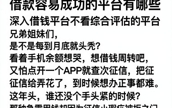 借款容易成功的平台有哪些，深入剖析五个借钱平台不看综合评估的平台